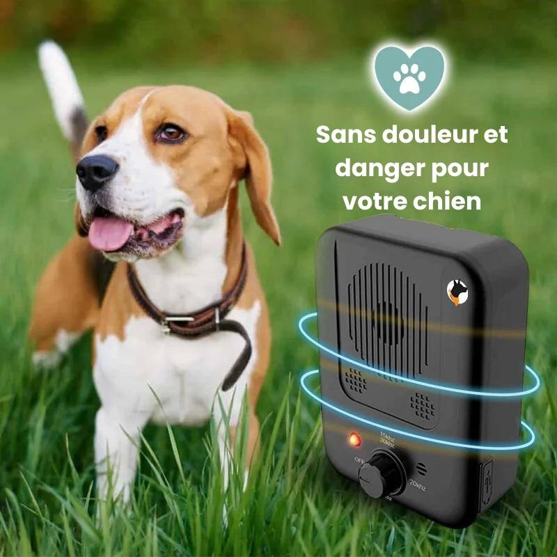 SilenceToutou - Dispositif anti-aboiement pour chien